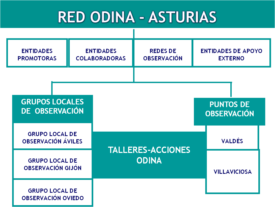 Estructura Red ODINA