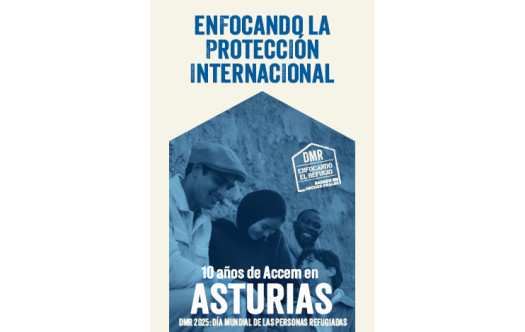 Enfocando la Protección Internacional