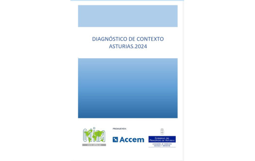 Diagn&oacute;stico Contexto 2024